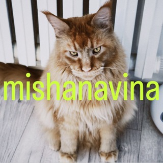 Логотип @mishanavina - mishanavina