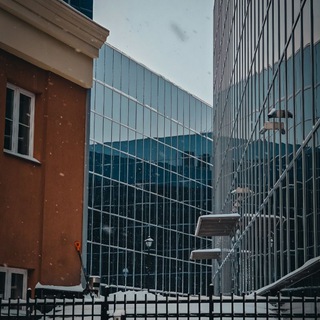 Логотип @mishzor_photo - Лес, город и котеечки
