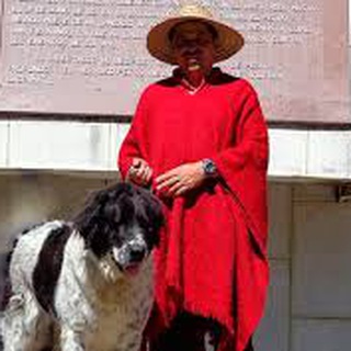 Логотип @misionnevadomerida - Noticias Nevado Mérida y Venezuela🐾