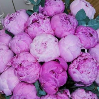 Логотип @mislivslukh1111 - Цитаты ❤️