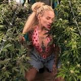 Логотип @misscannabisss - 😈 𝐇𝐚𝐫𝐝𝐜𝐨𝐫𝐞𝐨𝐜𝐡𝐤𝐚 😈