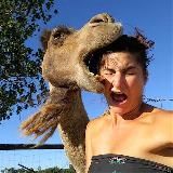 Логотип @mistake_video - Цена ошибки