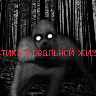 Логотип @mistica366 - Мистика в реальной жизни