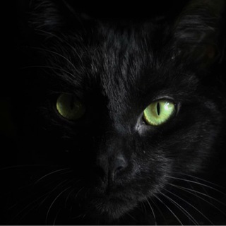 Логотип @mistika_near - Мистика рядом