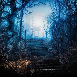 Логотип @mistikafa - Предпринимательство