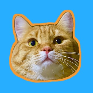 Логотип @mitay_co - Mitay_co