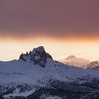 Логотип @mittdolcino - MITTDOLCINO.COM Channel