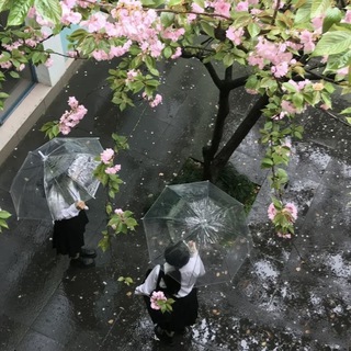 Логотип @mittsokaa - митсока