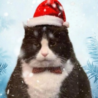 Логотип @mityakeks - Mitya Filosof 🪠