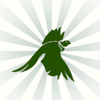 Логотип @mivmestepropesni - Мы вместе pro песни"🎶🎙 💿💽🔈🎵