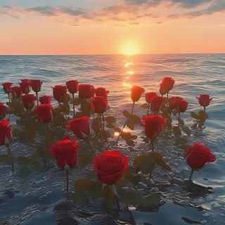 Логотип @mivoolum - Mivo