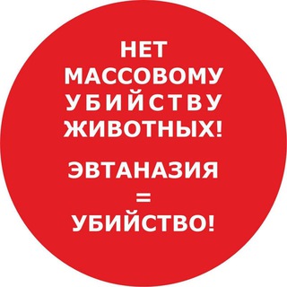 Логотип @mivotvete - Mi v otvete