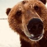 Логотип @mixalicu - Юмор от Михалыча