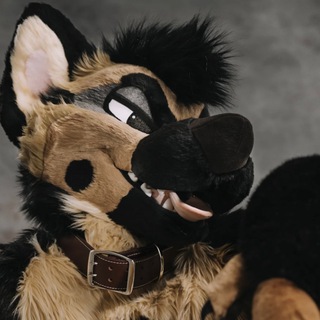 Логотип @mixedcandyupdates - MixedCandy Fursuit Updates