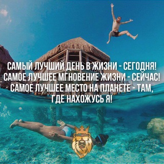 Логотип @mixinvestorchat - пассивный доход - www.mixinvestor.cc