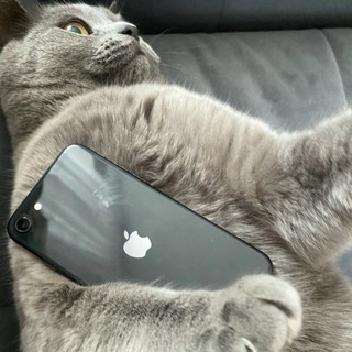 Логотип @mixtazee - Канал Mixik'a