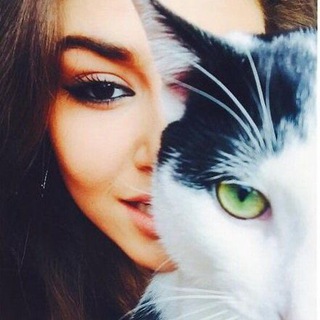 Логотип @miyystar - 𝑯𝑨𝑵𝑫𝑬 𝑬𝑹𝑪𝑬𝑳 🦋