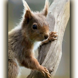 Логотип @mjosee_22 - 📌 Marie-Josée ➤https://linktr.ee/MJosee