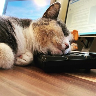 Логотип @mkbfans - Mechanical Keyboards Chat