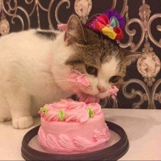 Логотип @mkorostels - Низкокалорийная еда