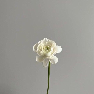 Логотип @mlsliputni - mysluputnika