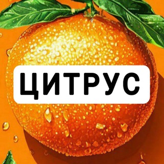 Логотип @mlt_technika - ЦИТРУС Сеть магазинов бытовой техники