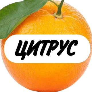 Логотип @mlt_technika_chat - Чат магазина «Цитрус»