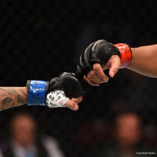 Логотип @mmaboltalka - Чат MMA PROFIT 💪