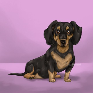 Логотип @mmollyblog - 𝗺𝗼𝗹𝗹𝘆.𝗯𝗹𝗼𝗴🐶