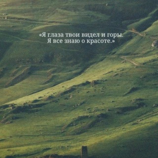 Логотип @mndrnchk - Кrnch🤍