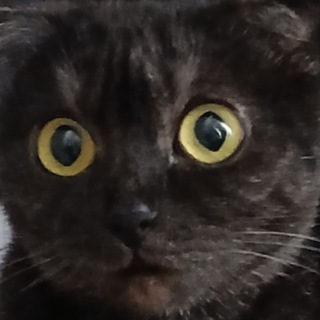 Логотип @mnennn - мне ничего не нравится