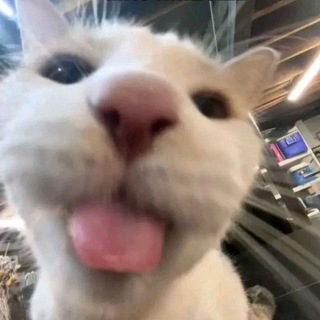 Логотип @mnenravitsia - Нравится…