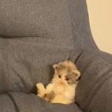 Логотип @mnogo_buk - много букв