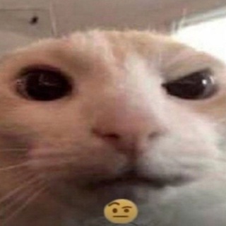 Логотип @mnogo_shutok - МЕМЫ