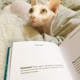 Логотип @mnogochitaem - Читать и читать