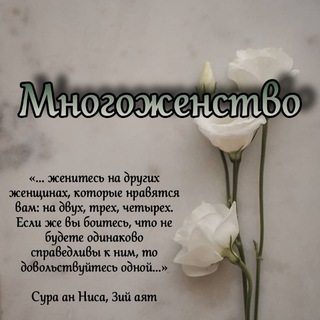 Логотип @mnogozhenstvo - ･︎･︎ Многоженство ･︎･︎