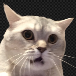 Логотип @mnsorta - курник с мойвой