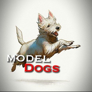 Логотип @model_dogs_channel - 𝚖𝚘𝚍𝚎𝚕 𝚍𝚘𝚐𝚜💁🏻ʰᵒᵘˢᵉ