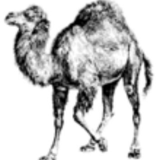 Логотип @modernperl - Modern::Perl