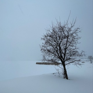 Логотип @modest_a_kolerov - Модест Колеров