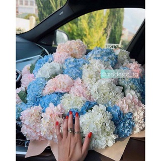 Логотип @modeste_tg - Modeste_tg 🌸