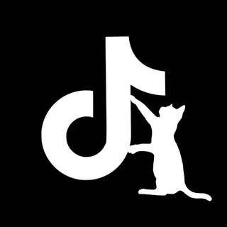 Логотип @modnatiktoki - TikTok mod