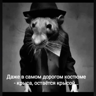 Логотип @modnyashki_vip - 💎 MODNYASHKI💎 «VIP»Chat