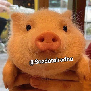 Логотип @modprivatbs - Приватные моды бравл старс