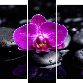 Логотип @module_picture - Модульные картины. Каталог