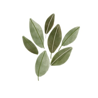 Логотип @modusvive - Модус Вивенди