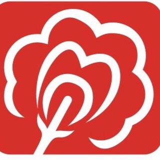 Логотип @moemparom - МОЕМ ПАРОМ СПБ