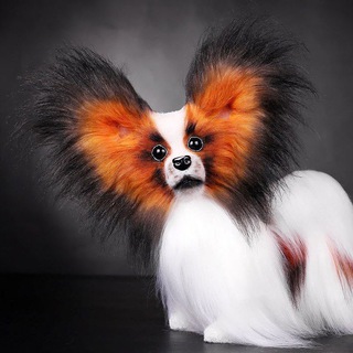 Логотип @mohnatydrug - Мохнатыйдруг🐶🐱