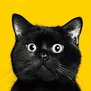 Логотип @mohnatyehvostatye - Мохнатые и хвостатые