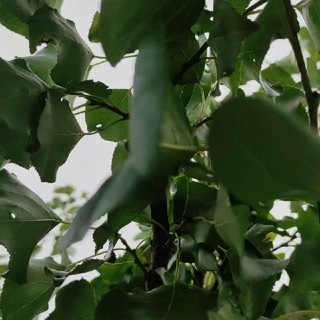 Логотип @moi_finansy - Мои финансы